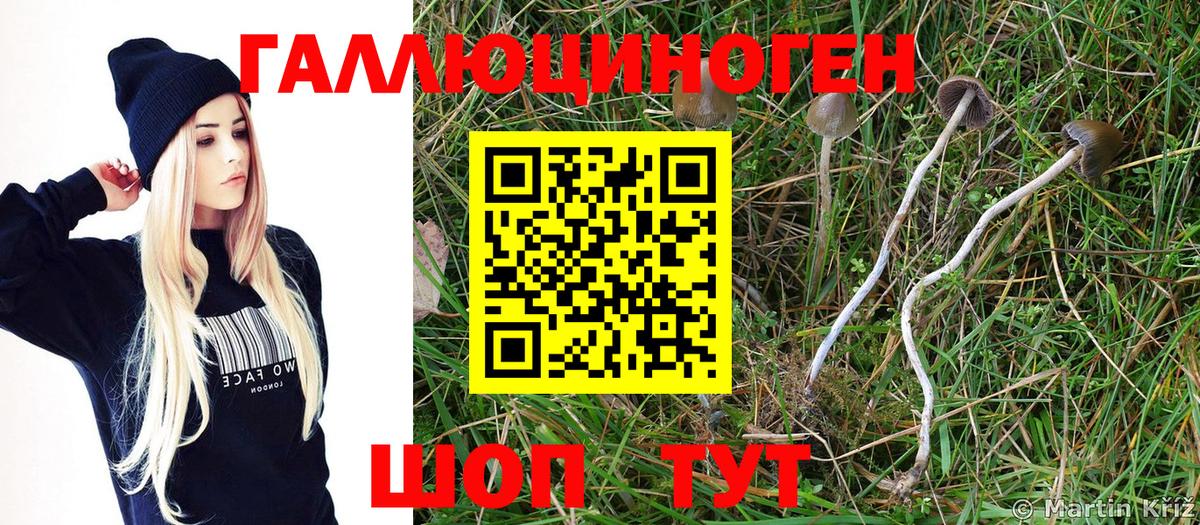 Псилоцибиновые грибы Magic Shrooms Барнаул