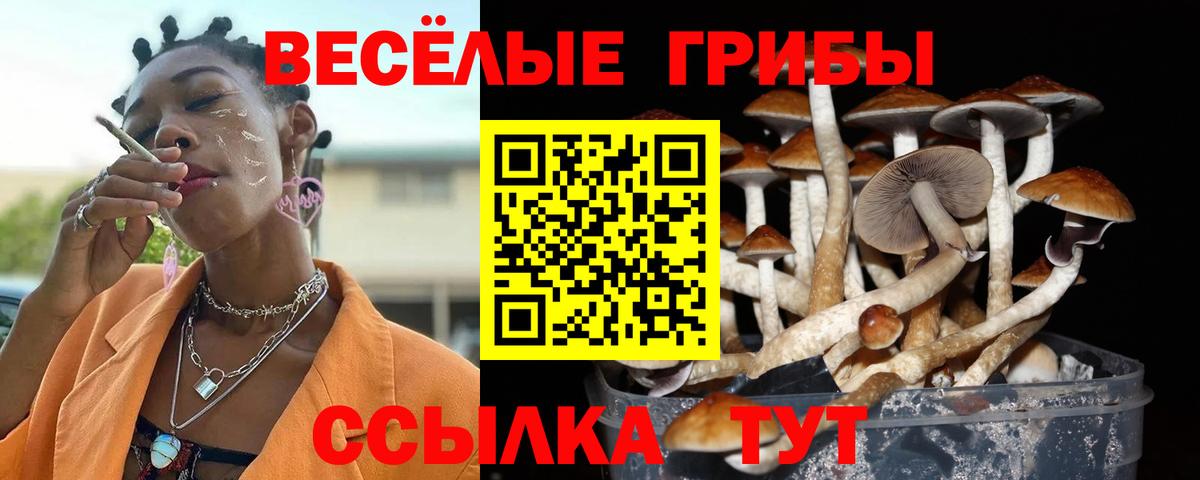 Галлюциногенные грибы Cubensis  Вход с VPN  Барнаул 